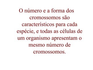 O número e a forma dos
cromossomos são
característicos para cada
espécie, e todas as células de
um organismo apresentam o
mesmo número de
cromossomos.
 