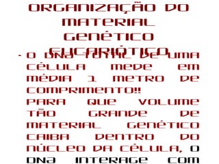 Organização do
Material
Genético
Eucariótico• O DNA total de uma
célula mede em
média 1 metro de
comprimento!!
Para que volume
tão grande de
material genético
caiba dentro do
núcleo da célula, o
DNA interage com
 