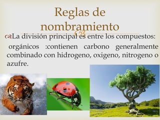La división principal es entre los compuestos:
orgánicos :contienen carbono generalmente
combinado con hidrogeno, oxigeno, nitrogeno o
azufre.
Reglas de
nombramiento
 