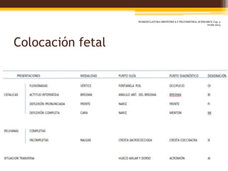 Colocación fetal
NOMENCLATURA OBSTETRICA Y PELVIMETRIA, SCHWARCZ Cap. 3
Ovalle 2015
 