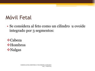Móvil Fetal
• Se considera al feto como un cilindro u ovoide
integrado por 3 segmentos:
Cabeza
Hombros
Nalgas
NOMENCLAT...