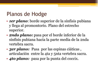 Planos de Hodge
• 1er plano: borde superior de la sínfisis pubiana
y llega al promontorio. Plano del estrecho
superior.
• ...