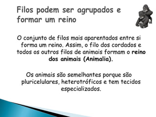 O conjunto de filos mais aparentados entre si
 forma um reino. Assim, o filo dos cordados e
todos os outros filos de animais formam o reino
            dos animais (Animalia).

   Os animais são semelhantes porque são
 pluricelulares, heterotróficos e tem tecidos
                 especializados.
 