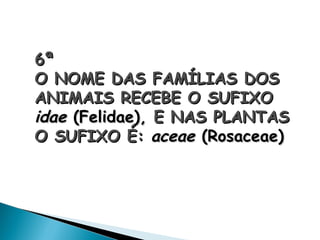 6ª
O NOME DAS FAMÍLIAS DOS
ANIMAIS RECEBE O SUFIXO
idae (Felidae), E NAS PLANTAS
O SUFIXO É: aceae (Rosaceae)
 