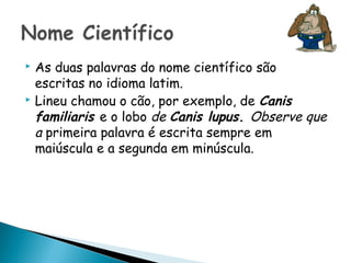  As duas palavras do nome científico são
  escritas no idioma latim.
 Lineu chamou o cão, por exemplo, de Canis

  familiaris e o lobo de Canis lupus. Observe que
  a primeira palavra é escrita sempre em
  maiúscula e a segunda em minúscula.
 
