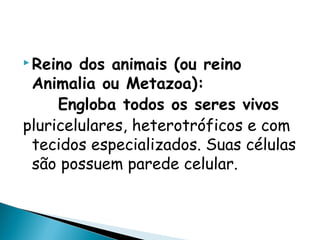  Reino dos animais (ou reino
 Animalia ou Metazoa):
     Engloba todos os seres vivos
pluricelulares, heterotróficos e com
 tecidos especializados. Suas células
 são possuem parede celular.
 
