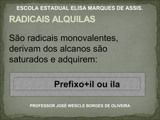 São radicais monovalentes, derivam dos alcanos são saturados e adquirem: PROFESSOR JOSÉ WESCLE BORGES DE OLIVEIRA ESCOLA ESTADUAL ELISA MARQUES DE ASSIS. Prefixo+il ou ila 