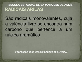 São radicais monovalentes, cuja a valência livre se encontra num carbono que pertence a um núcleo aromático PROFESSOR JOSÉ WESCLE BORGES DE OLIVEIRA ESCOLA ESTADUAL ELISA MARQUES DE ASSIS. 