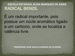 É um radical importante, pois possue um núcle aromático ligado a um carbono, onde se localiza a valência livre PROFESSOR JOSÉ WESCLE BORGES DE OLIVEIRA ESCOLA ESTADUAL ELISA MARQUES DE ASSIS. 