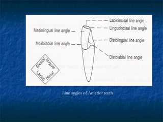 Line angles of Anterior teeth
 
