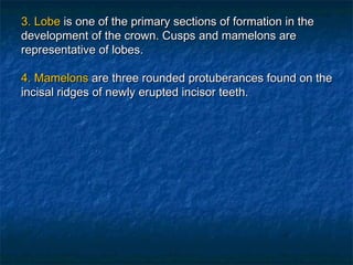 3. Lobe is one of the primary sections of formation in the
development of the crown. Cusps and mamelons are
representative of lobes.

4. Mamelons are three rounded protuberances found on the
incisal ridges of newly erupted incisor teeth.
 