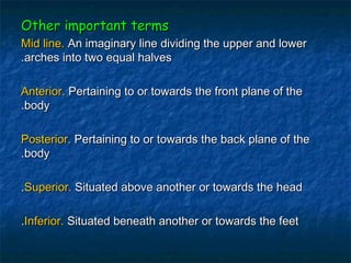 Other important terms
Mid line. An imaginary line dividing the upper and lower
.arches into two equal halves

Anterior. Pertaining to or towards the front plane of the
.body

Posterior. Pertaining to or towards the back plane of the
.body

.Superior. Situated above another or towards the head

.Inferior. Situated beneath another or towards the feet
 