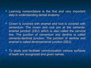    Learning nomenclature is the first and very important
    step in understanding dental anatomy.

   Crown is covered with enamel and root is covered with
    cementum. The crown and root join at the cemento-
    enamel junction (CEJ) which is also called the cervical
    line. The junction of cementum and dentine is called
    cemento-dentinal junction. The junction of dentine and
    enamel is called dentinoenamel junction (DEJ).

   To study and facilitate communication various surfaces
    of teeth are recognized and given names.
 