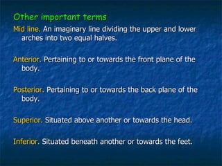 Other important terms Mid line.  An imaginary line dividing the upper and lower arches into two equal halves. Anterior.  Pertaining to or towards the front plane of the body. Posterior.   Pertaining to or towards the back plane of the body. Superior.  Situated above another or towards the head. Inferior.  Situated beneath another or towards the feet. 