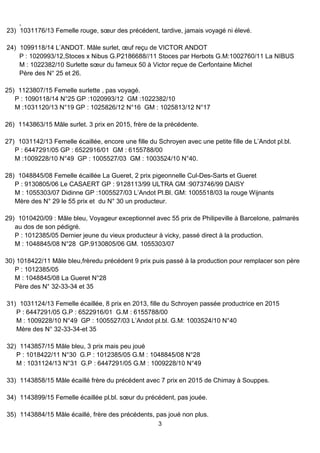 ,
3
23) 1031176/13 Femelle rouge, sœur des précédent, tardive, jamais voyagé ni élevé.
24) 1099118/14 L’ANDOT. Mâle surlet, œuf reçu de VICTOR ANDOT
P : 1020993/12,Stoces x Nibus G.P2186688//11 Stoces par Herbots G.M:1002760/11 La NIBUS
M : 1022382/10 Surlette sœur du fameux 50 à Victor reçue de Cerfontaine Michel
Père des N° 25 et 26.
25) 1123807/15 Femelle surlette , pas voyagé.
P : 1090118/14 N°25 GP :1020993/12 GM :1022382/10
M :1031120/13 N°19 GP : 1025826/12 N°16 GM : 1025813/12 N°17
26) 1143863/15 Mâle surlet. 3 prix en 2015, frère de la précédente.
27) 1031142/13 Femelle écaillée, encore une fille du Schroyen avec une petite fille de L’Andot pl.bl.
P : 6447291/05 GP : 6522916/01 GM : 6155788/00
M :1009228/10 N°49 GP : 1005527/03 GM : 1003524/10 N°40.
28) 1048845/08 Femelle écaillée La Gueret, 2 prix pigeonnelle Cul-Des-Sarts et Gueret
P : 9130805/06 Le CASAERT GP : 9128113/99 ULTRA GM :9073746/99 DAISY
M : 1055303/07 Didinne GP :1005527/03 L’Andot Pl.Bl. GM: 1005518/03 la rouge Wijnants
Mère des N° 29 le 55 prix et du N° 30 un producteur.
29) 1010420/09 : Mâle bleu, Voyageur exceptionnel avec 55 prix de Philipeville à Barcelone, palmarès
au dos de son pédigré.
P : 1012385/05 Dernier jeune du vieux producteur à vicky, passé direct à la production.
M : 1048845/08 N°28 GP.9130805/06 GM. 1055303/07
30) 1018422/11 Mâle bleu,frèredu précédent 9 prix puis passé à la production pour remplacer son père
P : 1012385/05
M : 1048845/08 La Gueret N°28
Père des N° 32-33-34 et 35
31) 1031124/13 Femelle écaillée, 8 prix en 2013, fille du Schroyen passée productrice en 2015
P : 6447291/05 G.P : 6522916/01 G.M : 6155788/00
M : 1009228/10 N°49 GP : 1005527/03 L’Andot pl.bl. G.M: 1003524/10 N°40
Mère des N° 32-33-34-et 35
32) 1143857/15 Mâle bleu, 3 prix mais peu joué
P : 1018422/11 N°30 G.P : 1012385/05 G.M : 1048845/08 N°28
M : 1031124/13 N°31 G.P : 6447291/05 G.M : 1009228/10 N°49
33) 1143858/15 Mâle écaillé frère du précédent avec 7 prix en 2015 de Chimay à Souppes.
34) 1143899/15 Femelle écaillée pl.bl. sœur du précédent, pas jouée.
35) 1143884/15 Mâle écaillé, frère des précédents, pas joué non plus.
 