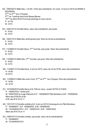 ,
6
54) 1099160/14 Mâle bleu « LE 60 » frère des précédents. Un crack, 12 prix en 2015 de REIMS à
BOURGES
2ème
as 2ème
tour à Oupeye
2ème
as Yearling demi-fond Basse-Meuse
10ème
as Demi-fond Provincial yearlings et vieux réunis.
P : N° 50
M : N°51
55) 1009172/14 Femelle bleue, sœur des précédents, pas jouée.
P : N°50
M : N°51
56) 1009173/14 Mâle bleu tardif jamais joué, frère de nid de la précédente.
P : N°50
M : N°51
57) 1123806/15 Femelle bleue, 3ème
tournée, pas jouée. Sœur des précédents.
P : N°50
M : N°51
58) 1123805/15 Mâle bleu, 3ème
tournée, pas joué, frère des précédents.
P : N°50
M : N°51
59) 1143861/15 Femelle bleue, 2 prix en 2015, sœur de nid du N°60, sœur des précédents.
P : N°50
M :N°51
60) 1143862/15 Mâle bleu avec 8 prix. 2ème
as 3ème
tour Oupeye, frère des précédents.
P : N°50
M : N°51
61) 1010456/09 Femelle bleue pl.bl. Fille du vieux couple 527/03 X 518/03
P : 1005527/03 l’ Andot pl.bl.
M: 1005518/03 la rouge Wijnants G.P : 1005628/02 Pâle Bordeaux G.M : 1005690/02
Mère des N°62-63 et 64
G.M. des N°9-10 et 11
62) 1031107/13 Femelle surlette pl.bl. 6 prix en 2013.Consanguine du Pâle Bordeaux
P : 1004889/07 G.P. 1005628/02 G.M :1005690/02
M : 1010456/09 N°61 G.P : 1005527/03 G.M : 1005518/03
Mère des N°9-10 et 11
63) 1099147/14 Femelle surlette, pas jouée, soeur de la précécédente
P : 1004889/07
M : 1010456/09 N°61
 