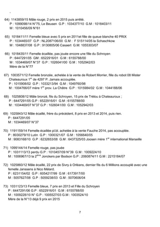 ,
7
64) 1143859/15 Mâle rouge, 2 prix en 2015 puis arrêté.
P : 1099098/14 N°75, Le Beusen G.P : 1034377/10 G.M : 1018403/11
M : 1010456/09 N°61
65) 1018411/11 Femelle bleue avec 5 prix en 2011et fille de queue blanche 40 PRIX
P : 1034465/07 G.P : NL2087106/00 G.M : F 515114/05 la Schaschkow
M : 1048837/08 G.P : 9130805/06 Casaert G.M: 1055303/07
66) 1018435/11 Femelle écaillée, pas jouée encore une fille du Schroyen
P : 6447291/05 GM : 6522916/01 G.M : 6155788/00
M : 1034469/07 N°37 G.P : 1026041/00 G.M : 1052942/03
Mère de la N°77
67) 1003571/12 Femelle bronzée, achetée à la vente de Robert Morrier, fille du robot 08 Mister
Chateauroux 1er
de 4297 P. Jamais accouplée.
P : 1015908/02 G.P : 1033213/94 G.M : 1049760/98
M : 1004766/07 mère 1er
prov. La Châtre G.P : 1015984/02 G.M : 1044188/06
68) 1025808/12 Mâle bronzé, fils du Schroyen, 15 prix de Trélou à Chateauroux ;
P : 6447291/05 G.P : 6522916/01 G.M : 6155788/00
M : 1034469/07 N°37 G.P : 1026041/00 G.M : 1052942/03
69) 1025843/12 Mâle écaillé, frère du précédent, 8 prix en 2013 et 2014, puis rien.
P : 6447291/05
M : 1034469/07 N°37
70) 1191159/14 Femelle écaillée pl.bl. achetée à la vente Fauche 2014, pas accouplée.
P : 8030279/10 Lutin G.P : 1000321/07 G.M : 1056640/05
M : 9083168/10 G.P : 6232653/08 G.M : 6437325/03 Joosen mère 1er
international Marseille
71) 1099144/14 Femelle rouge, pas jouée
P : 1031113/13 perdu G.P : 1010457/09 N°39 G.M : 1009224/10
M : 1006967/13 la 2ème
Jonckers par Bodson G.P : 2060874/11 G.M : 2215184/07
72) 1025860/12 Mâle écaillé, 22 prix de Sivry à Orléans, dernier fils du 6 Millions accouplé avec une
femelle Janssens à Nico Mélard.
P : 6231154/02 G.P : 6054217/99 G.M : 6173917/00
M : 5057627/08 G.P : 5059238/03 G.M : 5070606/04
73) 1031123/13 Femelle bleue, 7 prix en 2013 et Fille du Schroyen
P : 6447291/06 G.P : 6522916/01 G.M : 6155788/00
M : 1009228/10 N° G.P : 1005527/03 G.M : 1003524/10
Mère de la N°13 déjà 9 prix en 2015
 
