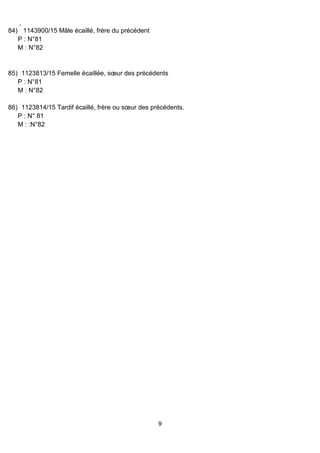 ,
9
84) 1143900/15 Mâle écaillé, frère du précédent
P : N°81
M : N°82
85) 1123813/15 Femelle écaillée, sœur des précédents
P : N°81
M : N°82
86) 1123814/15 Tardif écaillé, frère ou sœur des précédents.
P : N° 81
M : :N°82
 