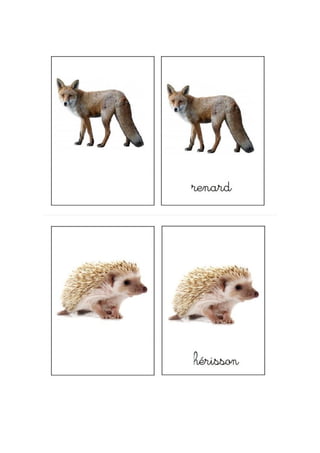 Nomenclature animaux forêt