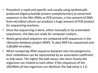 Nomenclature, classification and identification of bacteria by Anil ...