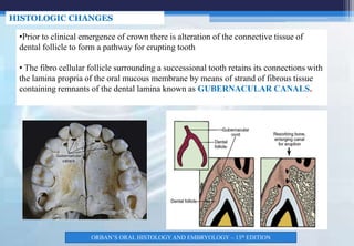 Tooth Membrane Nomenclature, eruption and shedding of teeth.pptx