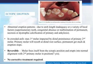 Nomenclature, eruption and shedding of teeth.pptx