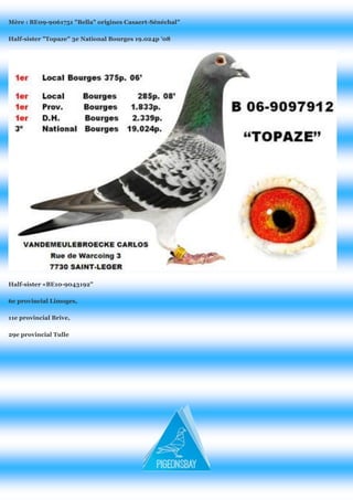 Mère : BE09-9061751 "Bella" origines Casaert-Sénéchal" 
Half-sister "Topaze" 3e National Bourges 19.024p '08 
Half-sister «BE10-9043192" 
6e provincial Limoges, 
11e provincial Brive, 
29e provincial Tulle 
 