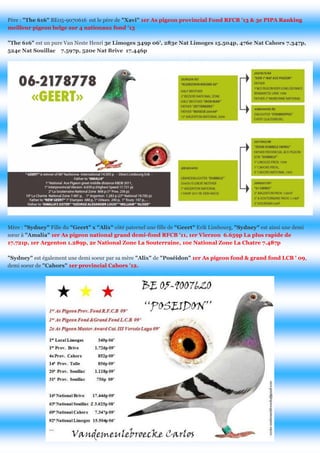 Père : "The 616" BE05-9070616 est le père de "Xavi" 1er As pigeon provincial Fond RFCB '13 & 3e PIPA Ranking meilleur pigeon belge sur 4 nationaux fond '13 
"The 616" est un pure Van Neste Henri 3e Limoges 349p 06', 283e Nat Limoges 15.504p, 476e Nat Cahors 7.347p, 524e Nat Souillac 7.597p, 520e Nat Brive 17.446p 
Mère : "Sydney" Fille du "Geert" x "Alix" côté paternel une fille de "Geert" Erik Limbourg, "Sydney" est ainsi une demi soeur à "Amalia" 1er As pigeon national grand demi-fond RFCB '11, 1er Vierzon 6.659p La plus rapide de 17.721p, 1er Argenton 1.289p, 2e National Zone La Souterraine, 10e National Zone La Chatre 7.487p 
"Sydney" est également une demi soeur par sa mère "Alix" de "Poséidon" 1er As pigeon fond & grand fond LCB ' 09, demi soeur de "Cahors" 1er provincial Cahors '12. 
 