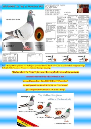 Père : "Easy" BE09-9061781 "2e As Pigeon provincial Fond RFCB 2012", Fils de "Fahrenheit (origine George Bolle) & "Alix" mère de "Yona" 16e National Bourges 22.499p. "Fahrenheit" x "Alix" forment le couple de base de la colonie 
Descendance du couple Fahrenheit x Alix : 1er As Pigeon Prov Fond R.F.C.B 09' "Poseidon" 2e As Pigeon Prov Fond R.F.C.B. 12' "Le Cahors" 3e As Pigeon Prov Fond R.F.C.B 12' "Easy" 
 