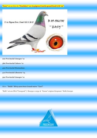 "Easy" est un frère de "Poséidon" 1er As pigeon Fond & grand fond LCB '09" 
22e Provincial Limoges '12 
38e Provincial Cahors '12 
40e Provincial Montauban 
41e Provincial Libourne '14 
59e Provincial Limoges '12 
Mère : "Bulle" BE05-9007602 Grand-mère "Xavi" 
"Bulle" est une fille d'"Iznogoud" 7e Bourges 1.223p. & "Emma" origines Koopman * Bolle Georges 
 
