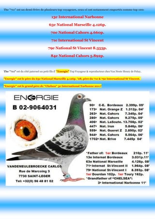 The "711" est un demi-frère de plusieurs top voyageurs, ceux-ci ont notamment emportés comme top 100: 
13e International Narbonne 
63e National Marseille 4.126p. 
70e National Cahors 4.660p. 
71e International St Vincent 
79e National St Vincent 8.353p. 
84e National Cahors 5.892p. 
The "711" est du côté paternel un petit fils d' "Energie" Top Voyageur & reproducteur chez Van Neste Henry de Feluy, "Energie" est le père du 63e National Marseille 4.126p. '08, père du 71e & 79e International St Vincent. "Energie" est le grand père de "Chelsea" 3e International Narbonne 2011! 
 