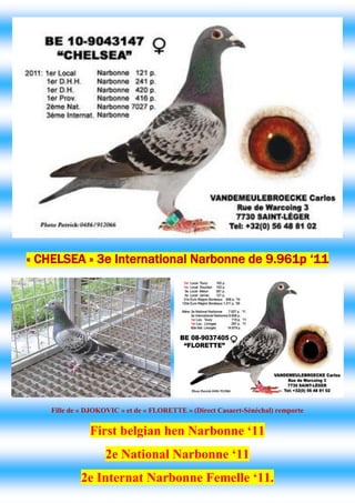 « CHELSEA » 3e International Narbonne de 9.961p ‘11 
Fille de « DJOKOVIC » et de « FLORETTE » (Direct Casaert-Sénéchal) remporte First belgian hen Narbonne ‘11 2e National Narbonne ‘11 2e Internat Narbonne Femelle ‘11.  