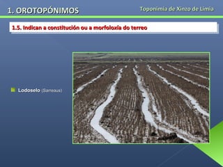 1. OROTOPÓNIMOS

Toponimia de Xinzo de Limia

1.5. Indican aaconstitución ou aamorfoloxía do terreo
1.5. Indican constitución ou morfoloxía do terreo

Lodoselo (Sarreaus)

 