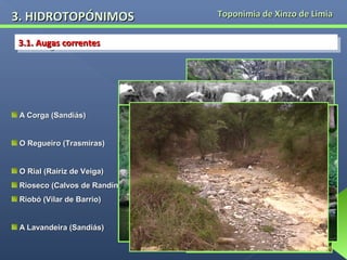 3. HIDROTOPÓNIMOS
3.1. Augas correntes
3.1. Augas correntes

A Corga (Sandiás)
O Regueiro (Trasmiras)
O Rial (Rairiz de Veiga)
Rioseco (Calvos de Randín)
Riobó (Vilar de Barrio)
A Lavandeira (Sandiás)

Toponimia de Xinzo de Limia

 