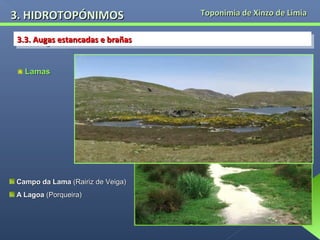 3. HIDROTOPÓNIMOS
3.3. Augas estancadas e brañas
3.3. Augas estancadas e brañas
Lamas

Campo da Lama (Rairiz de Veiga)
A Lagoa (Porqueira)

Toponimia de Xinzo de Limia

 