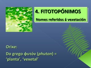 4. FITOTOPÓNIMOS
Nomes referidos á vexetación

Orixe:
Do grego φυτόν (phuton) =
‘planta’, ‘vexetal’

 