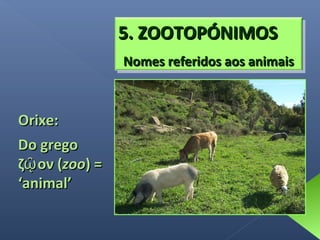 5. ZOOTOPÓNIMOS
Nomes referidos aos animais

Orixe:
Do grego
ζῷ ον (zoo) =
‘animal’

 