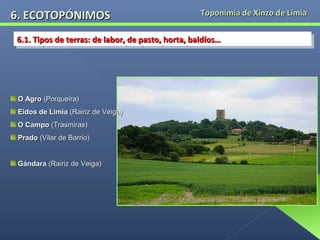 6. ECOTOPÓNIMOS

Toponimia de Xinzo de Limia

6.1. Tipos de terras: de labor, de pasto, horta, baldíos…
6.1. Tipos de terras: de labor, de pasto, horta, baldíos…

O Agro (Porqueira)
Eidos de Limia (Rairiz de Veiga)
O Campo (Trasmiras)
Prado (Vilar de Barrio)
Gándara (Rairiz de Veiga)

 