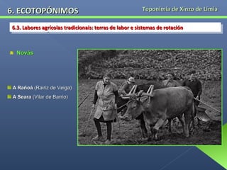 6. ECOTOPÓNIMOS

Toponimia de Xinzo de Limia

6.3. Labores agrícolas tradicionais: terras de labor eesistemas de rotación
6.3. Labores agrícolas tradicionais: terras de labor sistemas de rotación

Novás

A Rañoá (Rairiz de Veiga)
A Seara (Vilar de Barrio)

 