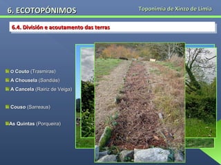 6. ECOTOPÓNIMOS
6.4. División e acoutamento das terras
6.4. División e acoutamento das terras

O Couto (Trasmiras)

A Chousela (Sandiás)
A Cancela (Rairiz de Veiga)
Couso (Sarreaus)
As Quintas (Porqueira)

Toponimia de Xinzo de Limia

 