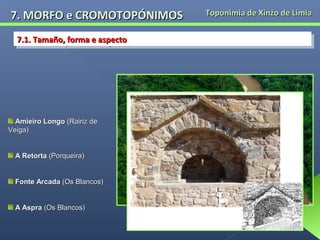 7. MORFO e CROMOTOPÓNIMOS
7.1. Tamaño, forma e aspecto
7.1. Tamaño, forma e aspecto

Amieiro Longo (Rairiz de
Veiga)
A Retorta (Porqueira)
Fonte Arcada (Os Blancos)
A Aspra (Os Blancos)

Toponimia de Xinzo de Limia

 