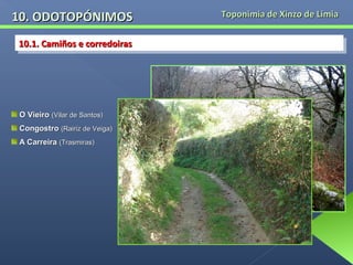 10. ODOTOPÓNIMOS
10.1. Camiños e corredoiras
10.1. Camiños e corredoiras

O Vieiro (Vilar de Santos)
Congostro (Rairiz de Veiga)
A Carreira (Trasmiras)

Toponimia de Xinzo de Limia

 