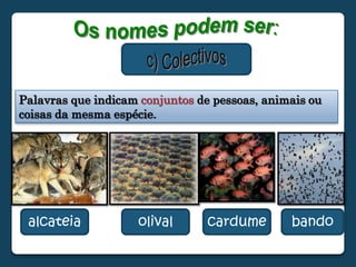 Os nomes podem ser:c) ColectivosPalavras que indicam conjuntos de pessoas, animais ou coisas da mesma espécie.alcateiaolivalcardumebando