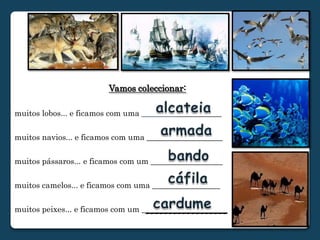 alcateiaarmadabandocáfilacardume