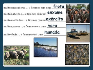 muitos pescadores ... e ficamos com uma ______________muitas abelhas ... e ficamos com um _________________muitos soldados ... e ficamos com um _________________muitas porcos ... e ficamos com uma __________________muitos bois ... e ficamos com uma ____________________frotaenxameexércitovaramanada