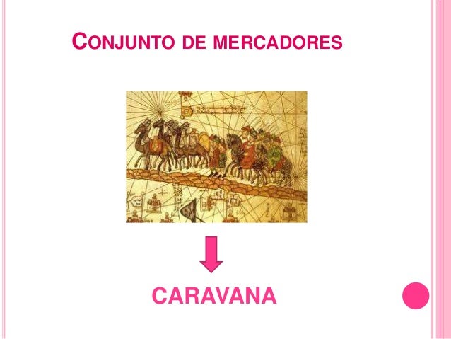 Conjunto de passaros nome colectivo Conjunto de passaros nome colectivo