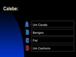 Calebe:
 Um Cavalo
 Benigno
 Fiel
 Um Cachorro
 