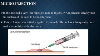 transfection and invitro packaging of phage genome | PPTX