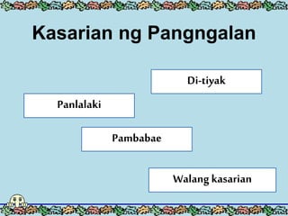Kasarian ng Pangngalan
Panlalaki
Di-tiyak
Pambabae
Walang kasarian
 