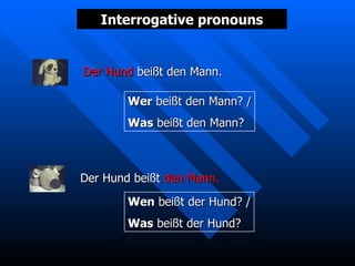 Interrogative pronouns Der Hund  beißt den Mann. Wer  beißt den Mann? / Was  beißt den Mann? Der Hund beißt  den Mann. Wen  beißt der Hund? / Was  beißt der Hund? Der Hund  beißt den Mann. Der Hund  beißt  den Mann. 